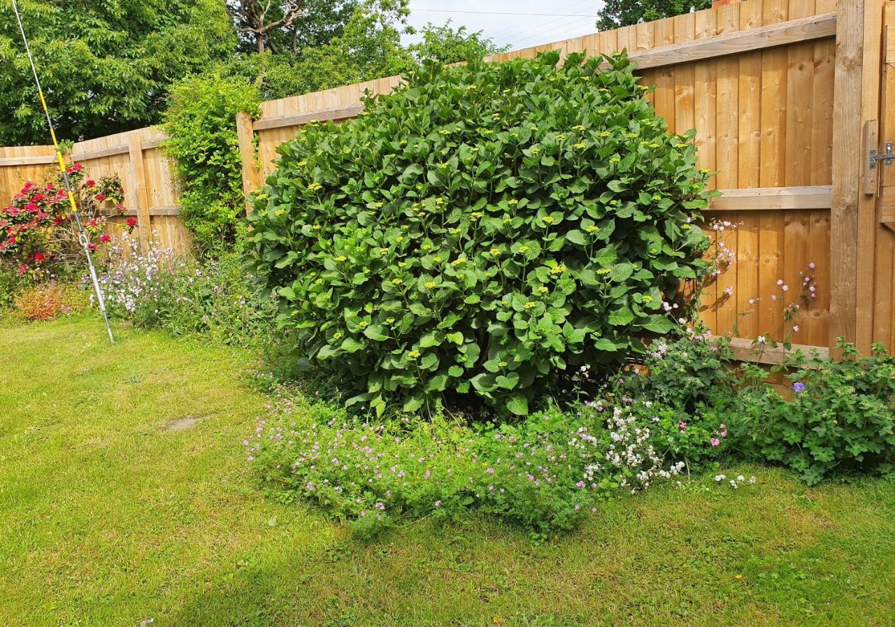 Forest Farm Papplewick Nottingham - Spacious Self-Contained Rural Retreat! ภายนอก รูปภาพ