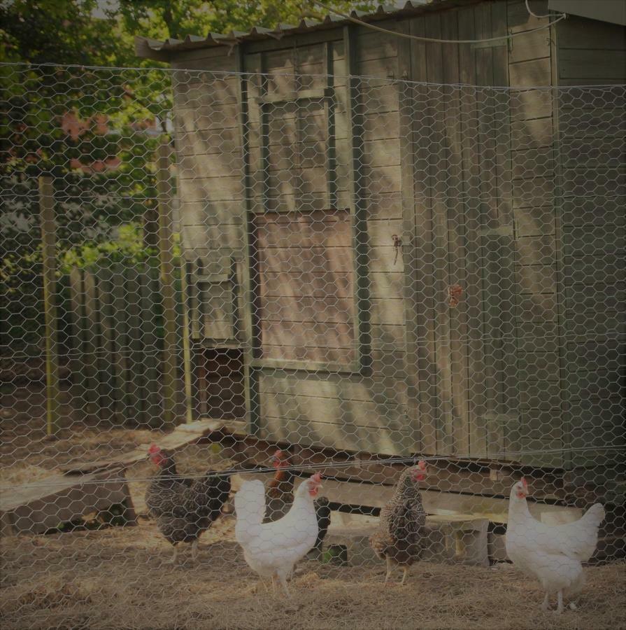 Forest Farm Papplewick Nottingham - Spacious Self-Contained Rural Retreat! ภายนอก รูปภาพ